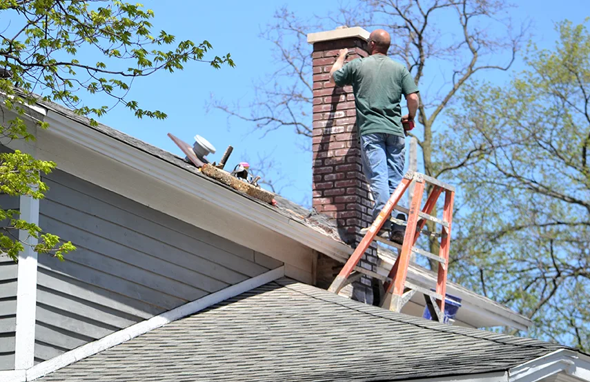 Chimney & Fireplace Inspections Services in Wilmette, IL